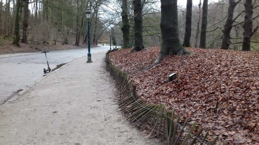 panneaux caché, chiens en liberté parc de la woluwe